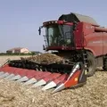 Причіпне - пошук слів за маскою та визначенням, відповіді на сканворди слів