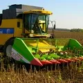 Причіпне - пошук слів за маскою та визначенням, відповіді на сканворди визначенням