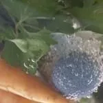 озонаторів