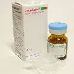 Застосування вушних крапель софрадекс при вагітності та лікуванні отиту у дітей (інструкція та фото) застосування