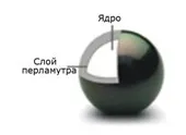 Прісноводні та морські перли - відмінності видів прісноводні