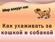 Презентація на тему - Як доглядати за кішкою та собакою - по навколишньому світу для 3 класу презентація