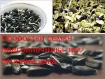Проростки насіння соняшнику при лікуванні раку насіння