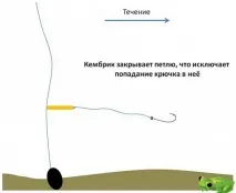 волосіні