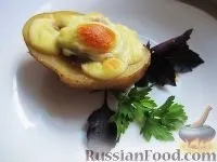 Птах, Фарш з картоплею, рецепти з фото на 17 рецептів рецепти