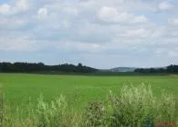 Садові доріжки садових