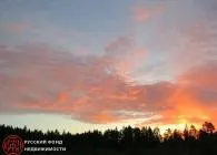Садові доріжки садових