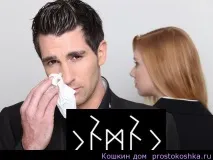 Руни - став Пильна накидка, Кошкін будинок руни