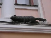 Найкрасивіший кіт міста найкрасивіший