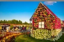 Секрети вирощування міцної розсади, Новини, Всеукраїнська асоціація пенсіонерів вирощування