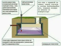 частна