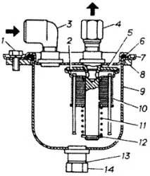 газела