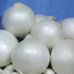 Сорти цибулі ростовська та данілівська цибуля та їх фото сорти