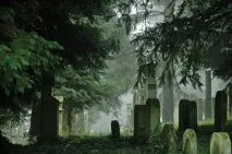 сонник