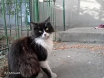 Сонце, спіймане в кадр сонце