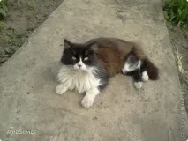 Сонце, спіймане в кадр кадр