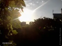 Сонце, спіймане в кадр кадр