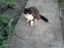 Сонце, спіймане в кадр кадр