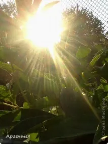 Сонце, спіймане в кадр спіймане