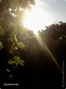 Сонце, спіймане в кадр кадр