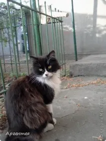 Сонце, спіймане в кадр кадр