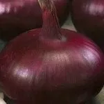 Сорти цибулі ростовська та данілівська цибуля та їх фото сорти