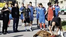 Спортивна магія Труп кажана та ще кілька способівзаманити успіх способівзаманити