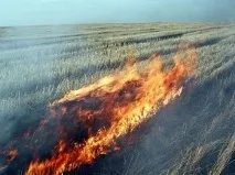 Спалювати чи не спалювати, Інформаційний портал Ростовської області інформаційний