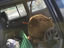 ТагАЗ Road Musso тагаз