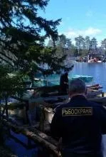 До рибоводних садків Архангельської області випустили першу партію молоді форелі, Північно-Західне архангельської