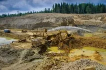 У Забайкальський край завозять племінну худобу край