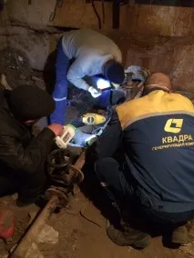 У Воронежі врятували кішку Фізу, яку замурували у теплотрасі врятували