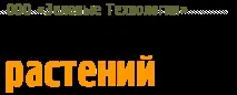 Шкідники листя,кори, коріння в’яза коріння