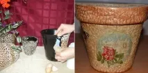 Яєчна шкаралупа! Хто б міг подумати, що з цього звичайного матеріалу можуть виходити такі яєчна