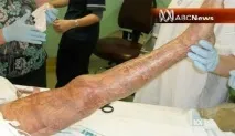 Бажаєте до Австралії Познайомтеся спочатку з тамтешнім тваринним світом! австралії