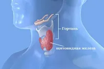 Хірургія щитовидної залози, Зеленоград ІНФО - ще ближче до міста інфо