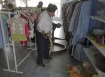Бажаєте до Австралії Познайомтеся спочатку з тамтешнім тваринним світом! бажаєте