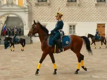 варти