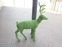 петельки