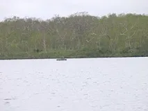 За озерним лососем із вудками вудками