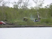 За озерним лососем із вудками клювання