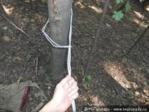 Зони відпочинку в лісі гамак своїми руками відпочинку