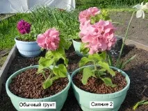 земля