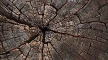 старіння