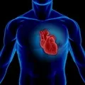 Американський мисливець - пошук слів за маскою та визначенням, відповіді на сканворди маскою