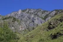 Алтай по колу 2016 було
