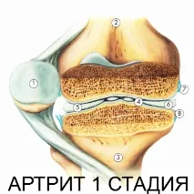 колянната