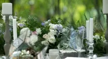 Wedding Fest 2016 весільний фестиваль у Прованс-готелі - 4 сезони весільний