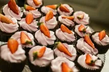 Wedding Fest 2016 весільний фестиваль у Прованс-готелі - 4 сезони весільний