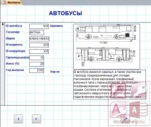База даних Access Міський транспорт - Бази даних Access міський